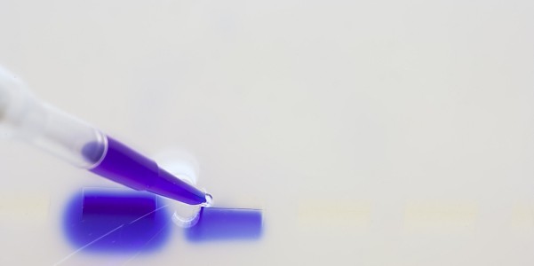 VCG4191352444(1).jpg