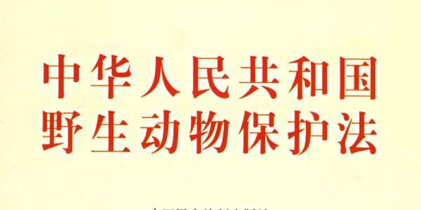 微信圖片_20200210102938.png