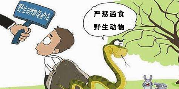 微信圖片_202002101029381.png