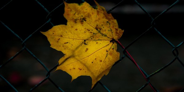 VCG211126638274(1).jpg