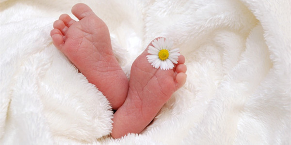 <a href='http://www.bjxgfjob.com/law/3988.html' target='_blank' data-auto>子女撫養</a>.jpg