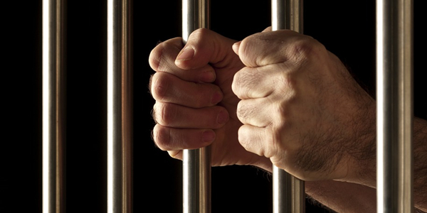 <a href='http://www.sdjlnm.com/law/3264.html' target='_blank' data-auto>刑事案件</a>.jpg